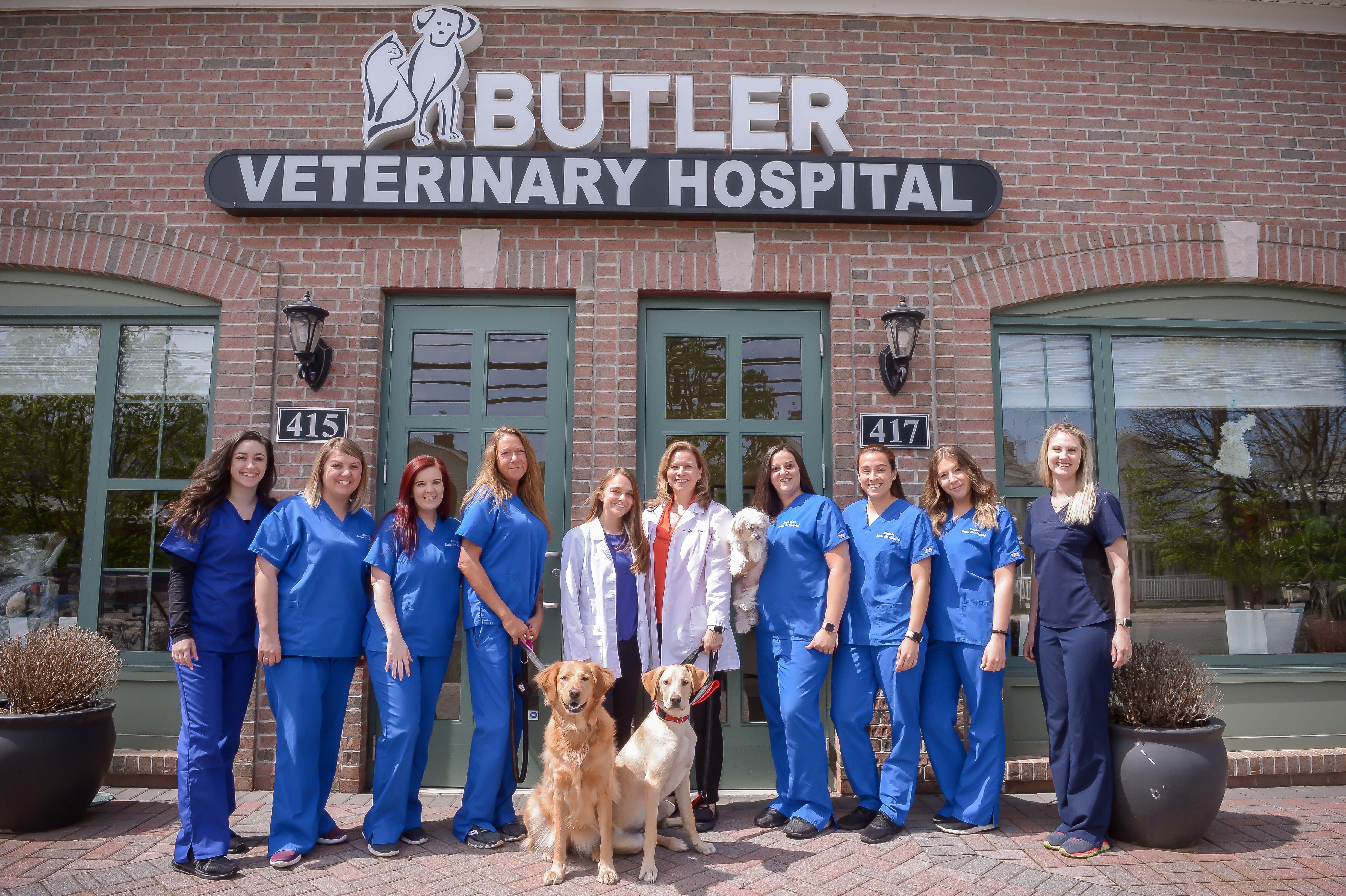 butlers animal clinic